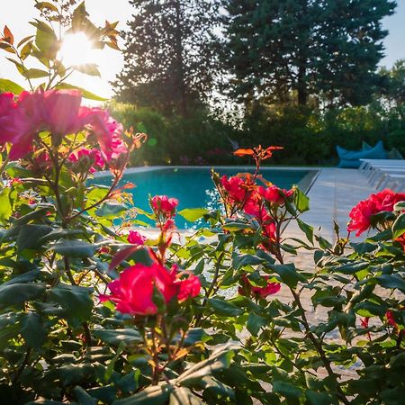 Trullo Amarcord Villa Селва ди Фасано Екстериор снимка